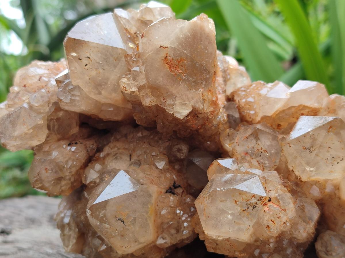 Natural Large Smokey Phantom Quartz Cluster x 1 From Luena, Congo