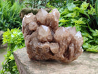 Natural Large Smokey Phantom Quartz Cluster x 1 From Luena, Congo