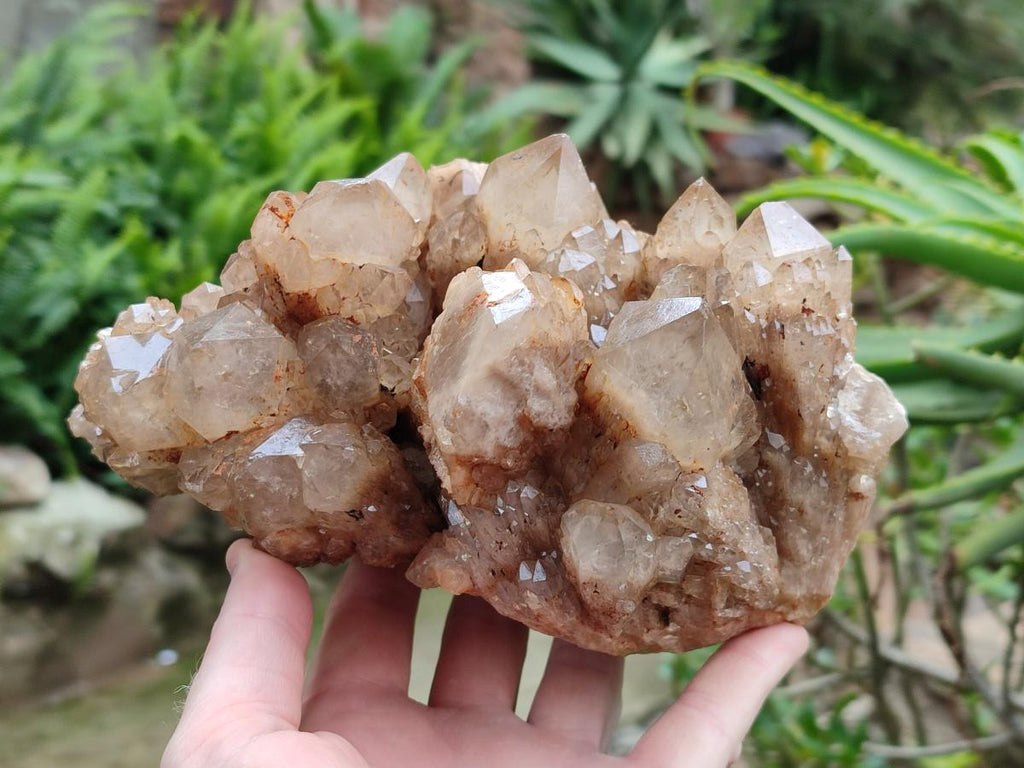 Natural Large Smokey Phantom Quartz Cluster x 1 From Luena, Congo