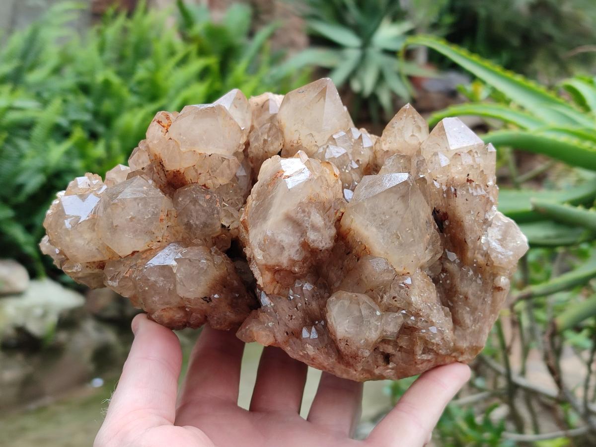 Natural Large Smokey Phantom Quartz Cluster x 1 From Luena, Congo