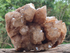 Natural Large Smokey Phantom Quartz Cluster x 1 From Luena, Congo