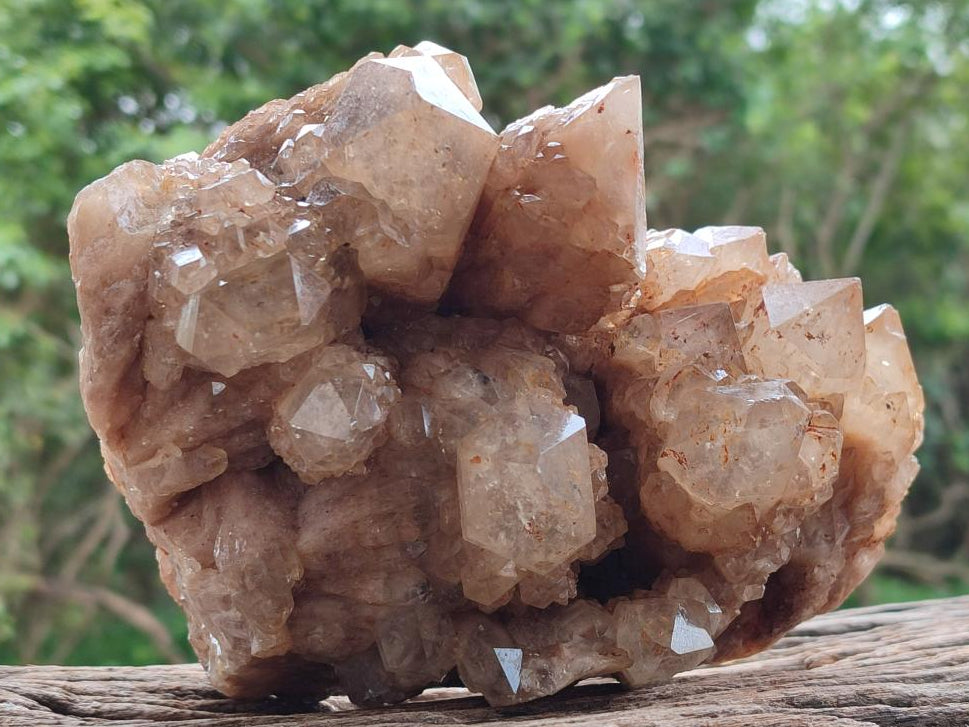 Natural Large Smokey Phantom Quartz Cluster x 1 From Luena, Congo