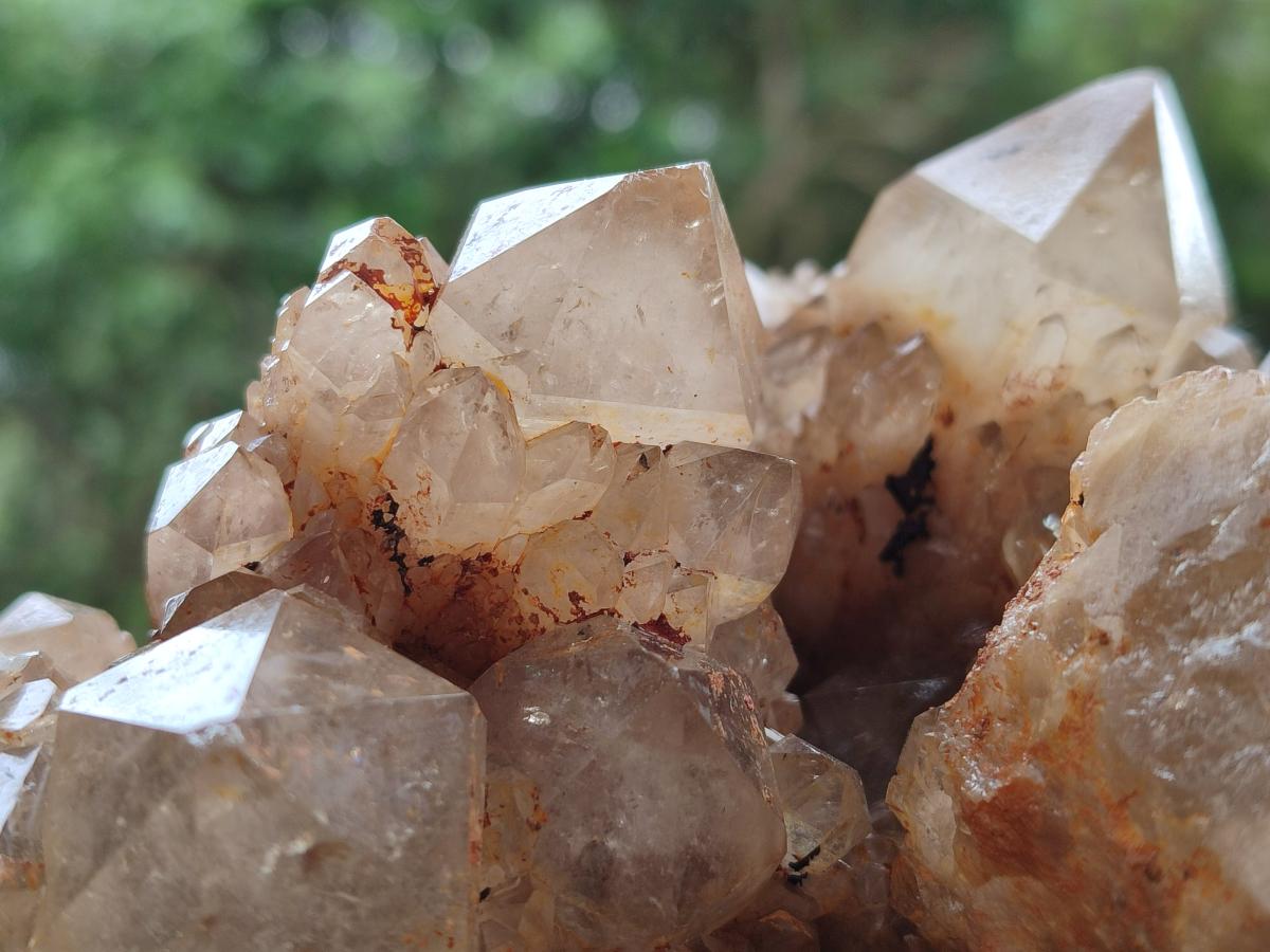 Natural Large Smokey Phantom Quartz Cluster x 1 From Luena, Congo