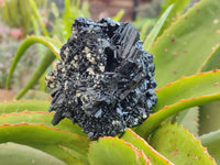 Natural Schorl Black Tourmaline Specimens x 2 From Erongo, Namibia