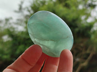 Polished Green Fluorite Palm Stone x 12 From Madagascar