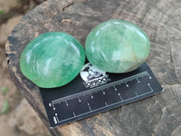Polished Green Fluorite Palm Stone x 12 From Madagascar