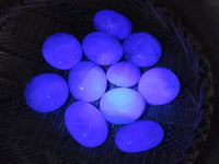 Polished Green Fluorite Palm Stone x 12 From Madagascar