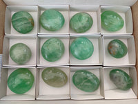 Polished Green Fluorite Palm Stone x 12 From Madagascar