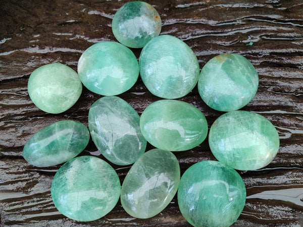 Polished Green Fluorite Palm Stone x 12 From Madagascar