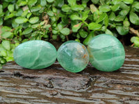 Polished Green Fluorite Palm Stone x 12 From Madagascar