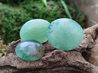 Polished Green Fluorite Palm Stone x 12 From Madagascar