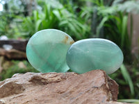 Polished Green Fluorite Palm Stone x 12 From Madagascar