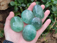 Polished Green Fluorite Palm Stone x 12 From Madagascar