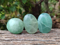 Polished Green Fluorite Palm Stone x 12 From Madagascar