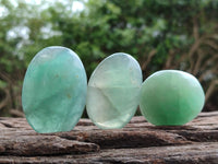 Polished Green Fluorite Palm Stone x 12 From Madagascar