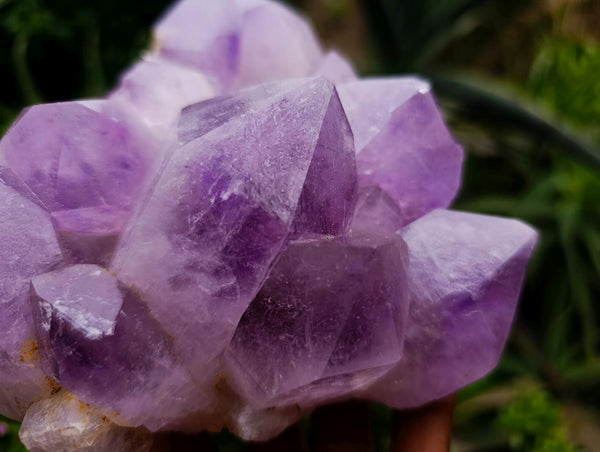 Natural Jacaranda Amethyst Quartz Crystal Clusters x 2 From Mumbwa, Zambia