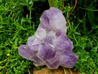 Natural Jacaranda Amethyst Quartz Crystal Clusters x 2 From Mumbwa, Zambia