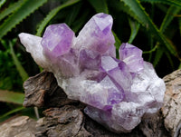 Natural Jacaranda Amethyst Quartz Crystal Clusters x 2 From Mumbwa, Zambia