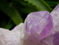 Natural Jacaranda Amethyst Quartz Crystal Clusters x 2 From Mumbwa, Zambia