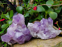 Natural Jacaranda Amethyst Quartz Crystal Clusters x 2 From Mumbwa, Zambia