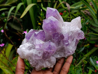 Natural Jacaranda Amethyst Quartz Crystal Clusters x 2 From Mumbwa, Zambia