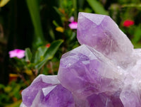 Natural Jacaranda Amethyst Quartz Crystal Clusters x 2 From Mumbwa, Zambia