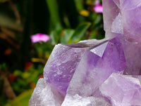 Natural Jacaranda Amethyst Quartz Crystal Clusters x 2 From Mumbwa, Zambia