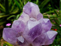 Natural Jacaranda Amethyst Quartz Crystal Clusters x 2 From Mumbwa, Zambia