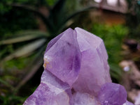 Natural Jacaranda Amethyst Quartz Crystal Clusters x 2 From Mumbwa, Zambia