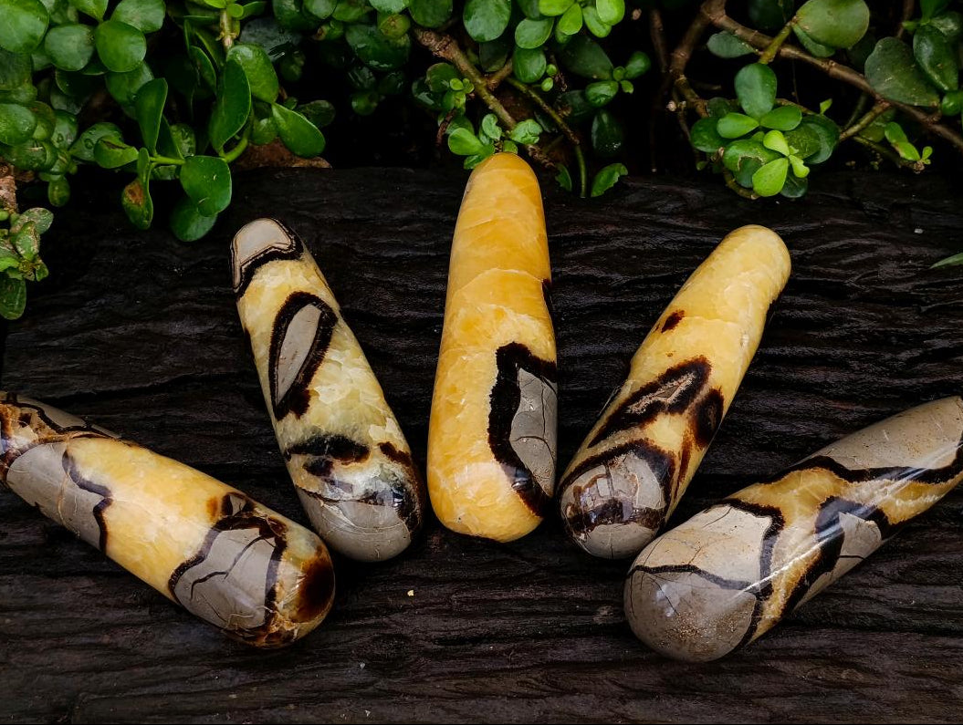 Polished Septerye Massage Wands x 5 From Mahajanga, Madagascar