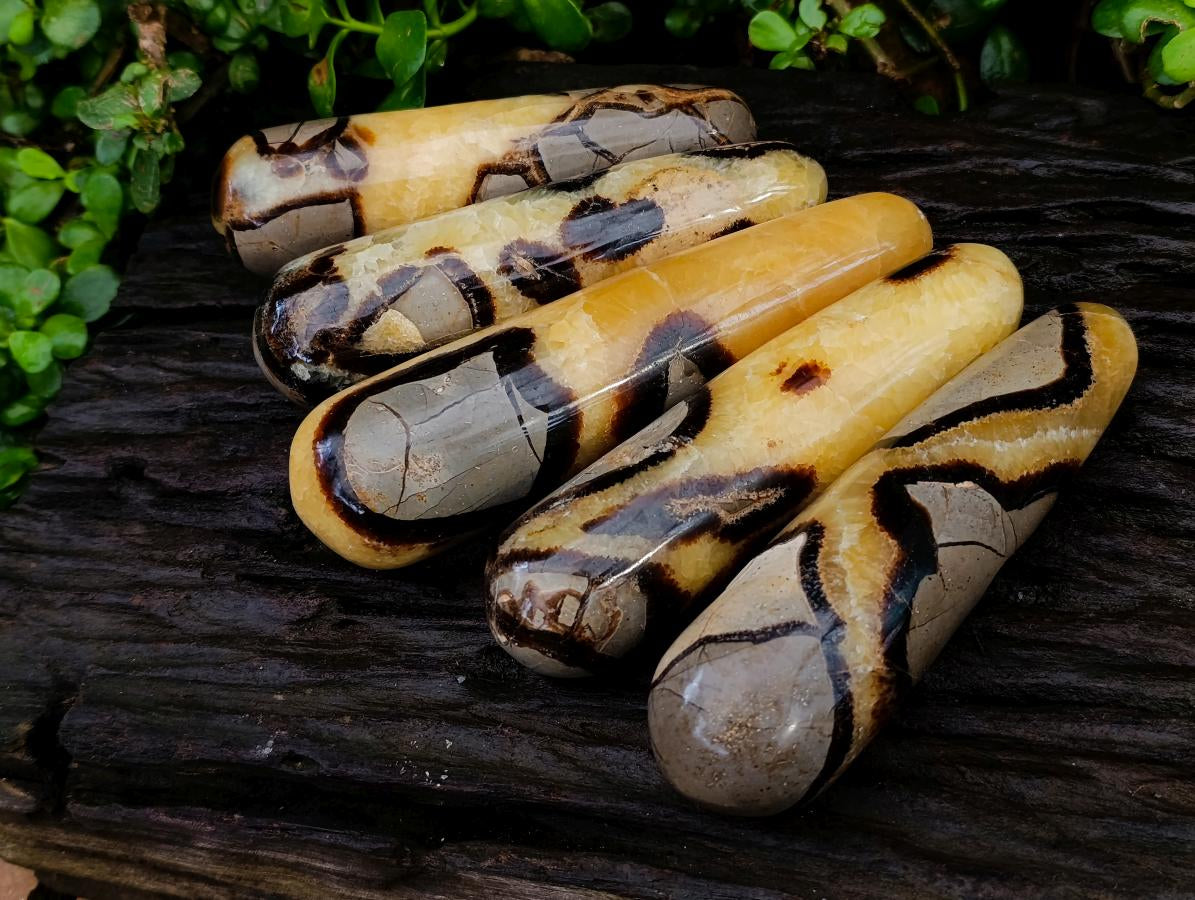 Polished Septerye Massage Wands x 5 From Mahajanga, Madagascar