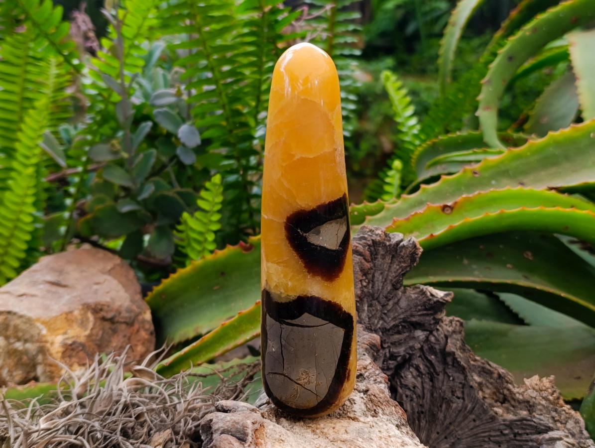 Polished Septerye Massage Wands x 5 From Mahajanga, Madagascar