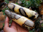 Polished Septerye Massage Wands x 5 From Mahajanga, Madagascar