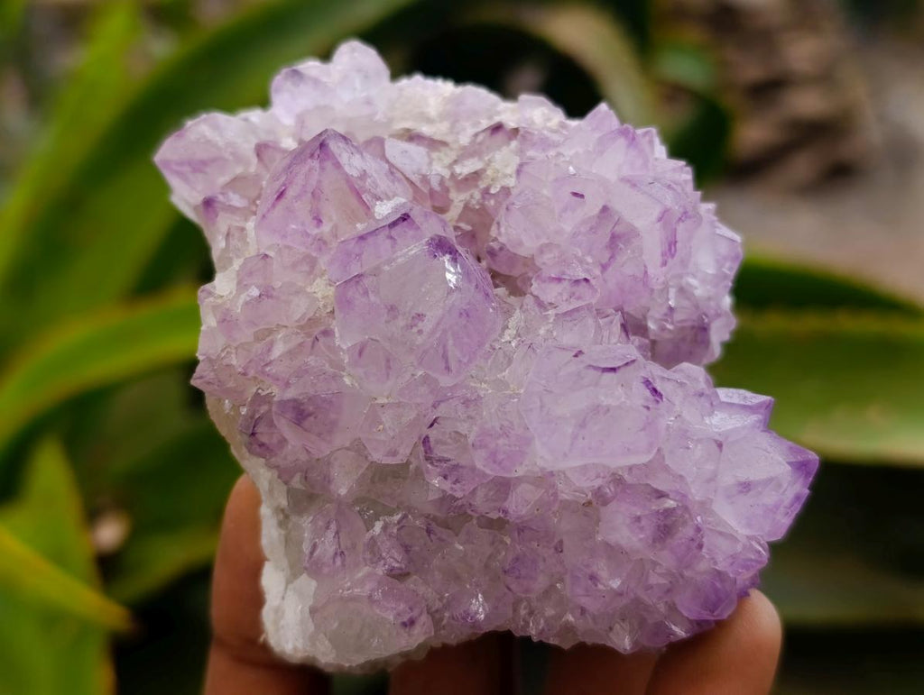 Natural Sunburst Amethyst Spirit Clusters x 6 From Boekenhouthoek, South Africa