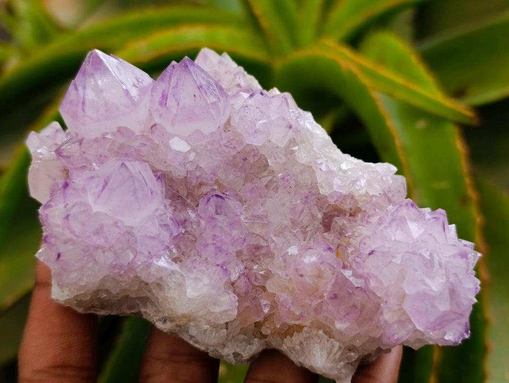 Natural Sunburst Amethyst Spirit Clusters x 6 From Boekenhouthoek, South Africa