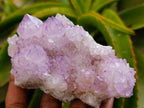 Natural Sunburst Amethyst Spirit Clusters x 6 From Boekenhouthoek, South Africa