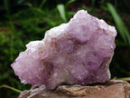 Natural Sunburst Amethyst Spirit Clusters x 6 From Boekenhouthoek, South Africa