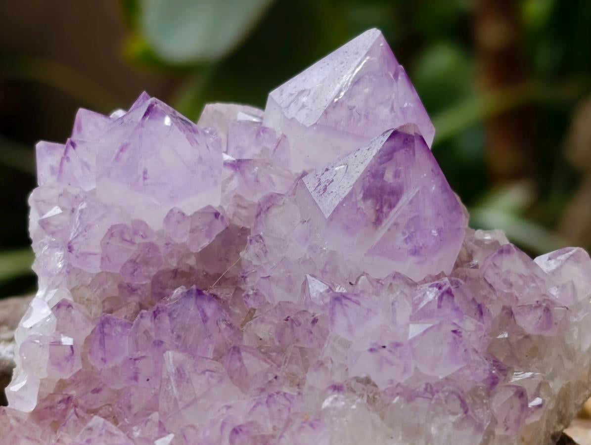 Natural Sunburst Amethyst Spirit Clusters x 6 From Boekenhouthoek, South Africa