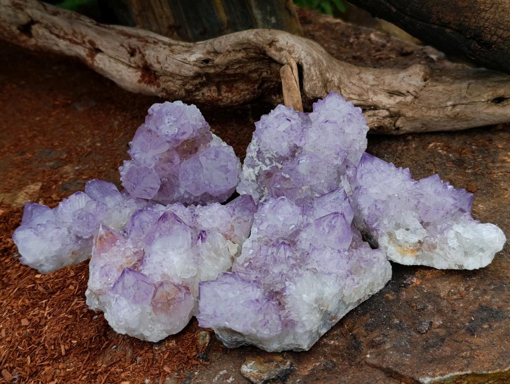 Natural Sunburst Amethyst Spirit Clusters x 6 From Boekenhouthoek, South Africa