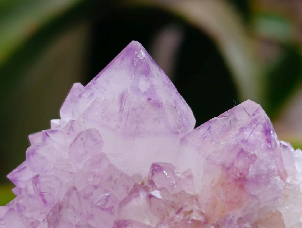 Natural Sunburst Amethyst Spirit Clusters x 6 From Boekenhouthoek, South Africa