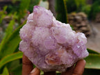Natural Sunburst Amethyst Spirit Clusters x 6 From Boekenhouthoek, South Africa