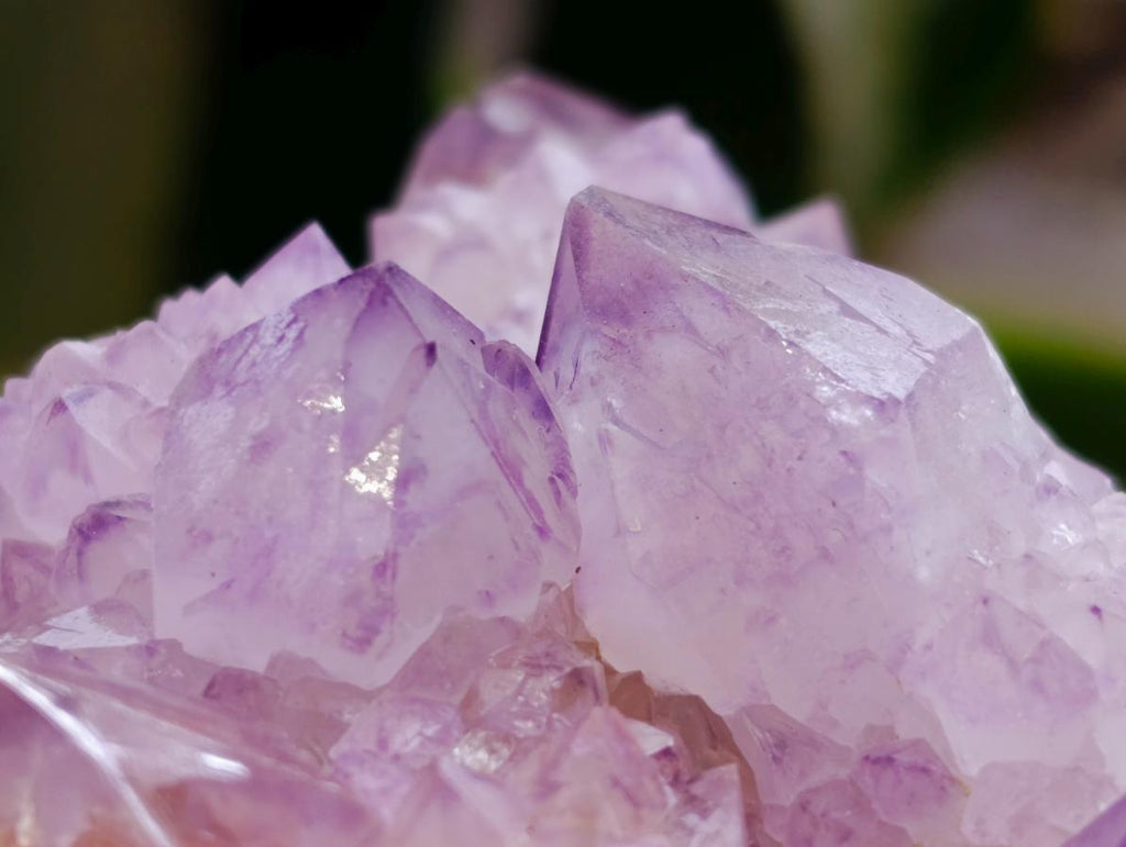 Natural Sunburst Amethyst Spirit Clusters x 6 From Boekenhouthoek, South Africa