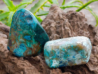 Polished Shattuckite Malachite and Bornite Free Forms x 6 From Kaokoveld, Namibia