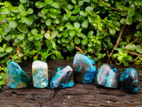 Polished Shattuckite Malachite and Bornite Free Forms x 6 From Kaokoveld, Namibia