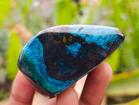 Polished Shattuckite Malachite and Bornite Free Forms x 6 From Kaokoveld, Namibia