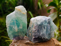 Natural Watermelon Fluorite Cobbed Specimens x 12 From Uis, Namibia