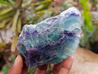 Natural Watermelon Fluorite Cobbed Specimens x 12 From Uis, Namibia