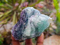 Natural Watermelon Fluorite Cobbed Specimens x 12 From Uis, Namibia