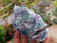 Natural Watermelon Fluorite Cobbed Specimens x 12 From Uis, Namibia