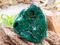Polished Large Flower Banded Malachite Free Form x 1 From Congo